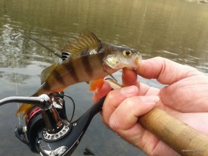 20170323_103942.jpg