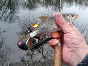 20170323_133654.jpg