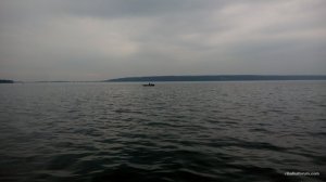 IMG_20170323_144358.jpg