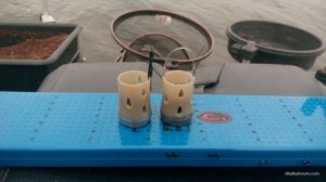 IMG_20170323_164738.jpg