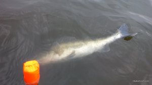 IMG_20170324_102207.jpg