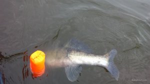 IMG_20170324_102210.jpg