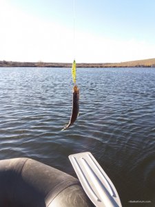 20170325_072752.jpg