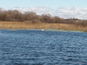 20170325_084639.jpg