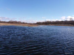 20170325_084926.jpg