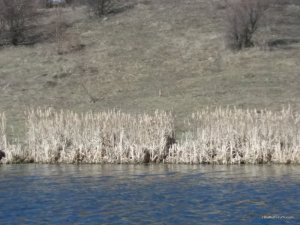 20170325_085914.jpg