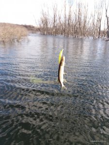 20170325_074558.jpg