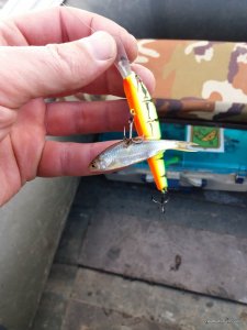 20170325_111658.jpg