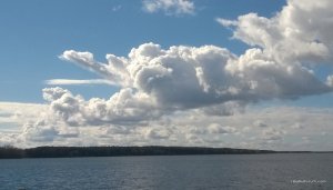 WP_20170325_028.jpg