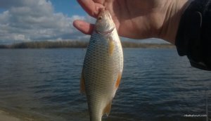 WP_20170325_019.jpg