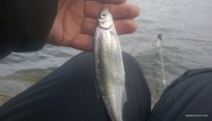 WP_20170325_047.jpg