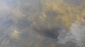 20170326_113216.jpg