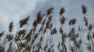 20170326_153544.jpg
