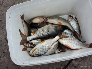 20170326_154843.jpg