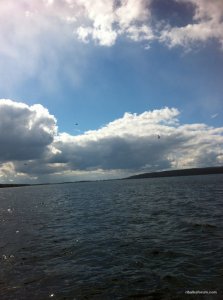 IMG_3193.JPG