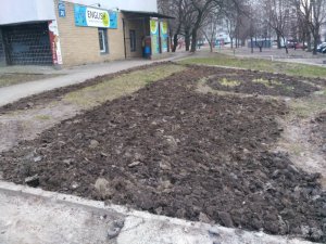IMG_20170325_172309.jpg