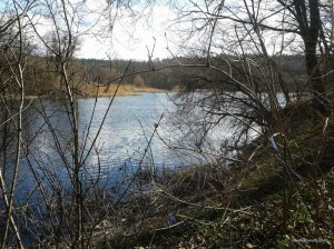 20170326_124701.jpg