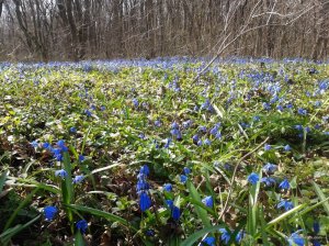 20170326_124631.jpg