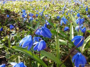 20170326_124644.jpg