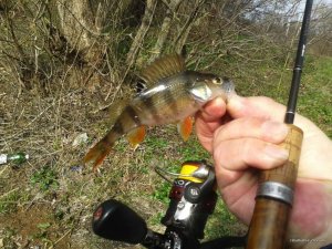 20170326_100052.jpg