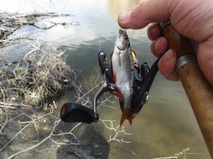 20170326_131733.jpg