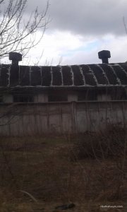20170327_155116.jpg
