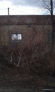 20170327_155129.jpg