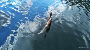 IMG_20170326_112934.jpg