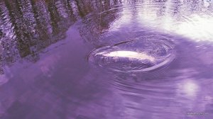 IMG_20170326_130515.jpg