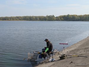 IMG_0115.JPG