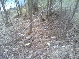 IMG_20170328_113234.jpg