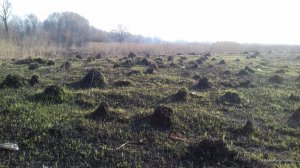 20170330_081139.jpg