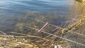20170330_083825.jpg