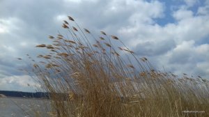 20170330_124449.jpg