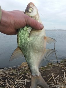 20170331_144837.jpg