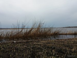 20170331_160924.jpg