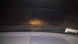 IMG_20170331_042427.jpg