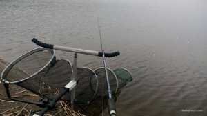 IMG_20170331_160950.jpg