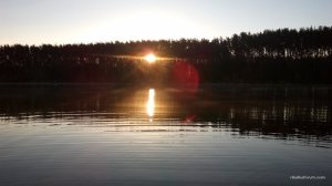 IMG_20170331_064749.jpg