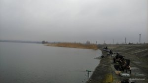 IMG_20170401_074251.jpg