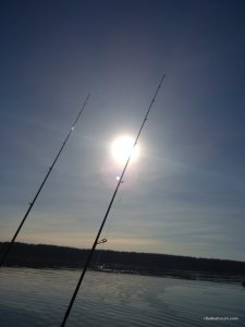 IMG_20170331_083333.jpg
