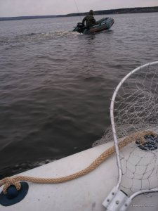 IMG_20170331_174843.jpg