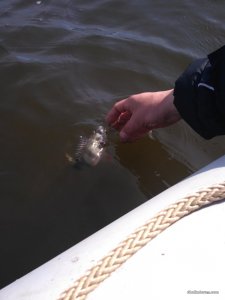 IMG_20170331_134047.jpg