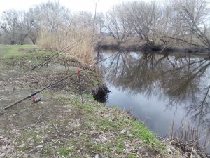 IMG_20170401_104545.jpg
