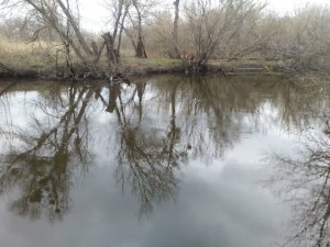 IMG_20170401_104604.jpg