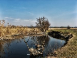 IMG_2071.JPG