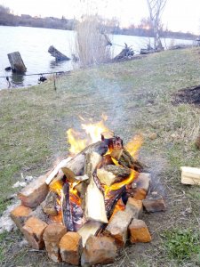 IMG_20170401_190252.jpg