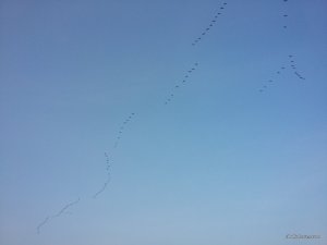 20170402_063256.jpg