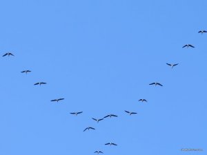 IMG_1770.JPG