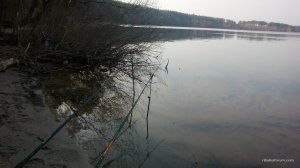 IMG_20170404_084425.jpg